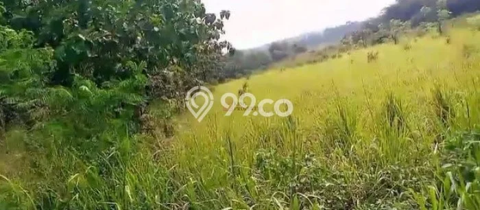 Kavling Tanah Dijual di Legok Tangerang Spesifikasi 4000m2 Kavling Tanah Dijual di Legok Tangerang Spesifikasi 4000m2
