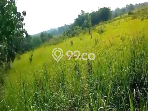 Kavling Tanah Dijual di Legok Tangerang Spesifikasi 4000m2 Kavling Tanah Dijual di Legok Tangerang Spesifikasi 4000m2
