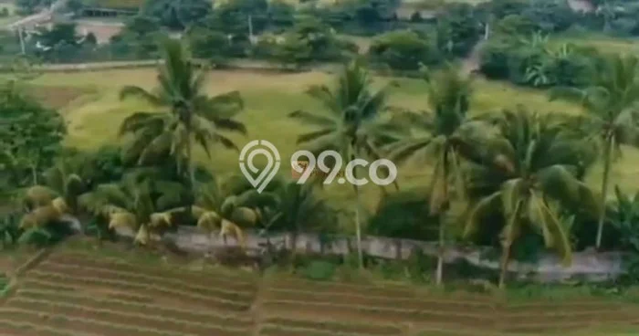Tanah Dijual Lokasi Dramaga, Bogor Luas 6.15e+07m2 Legalitas Aman Tanah Dijual Lokasi Dramaga, Bogor Luas 6.15e+07m2 Legalitas Aman
