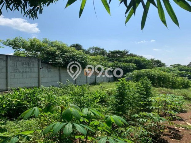 Kavling Tanah di Cikeusal Dijual Luas 9013m2 Legalitas - Kavling Tanah di Cikeusal Dijual Luas 9013m2 Legalitas -
