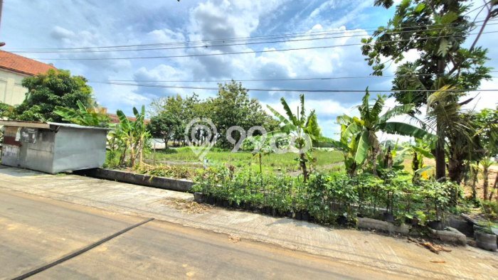 AREA PROSPEKTIF! Tanah Kawasan Baki, Luas 4815m2m², Akses Fasilitas Umum, Kawasan Potensial AREA PROSPEKTIF! Tanah Kawasan Baki, Luas 4815m2m², Akses Fasilitas Umum, Kawasan Potensial