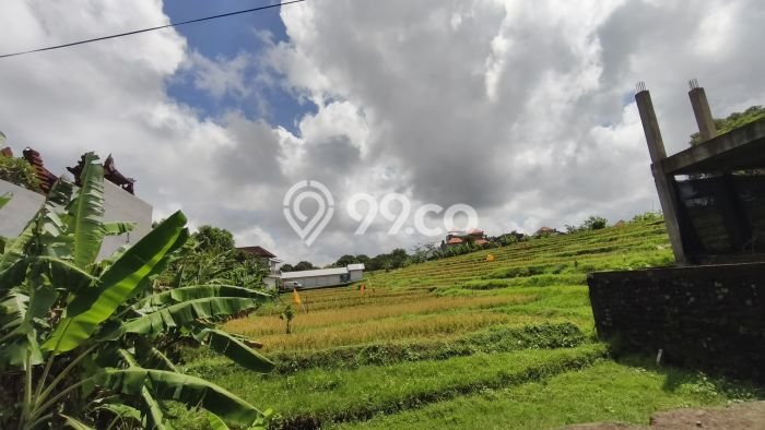 Tanah Dijual Area Strategis di Sempidi Badung 400m2 Tanah Dijual Area Strategis di Sempidi Badung 400m2