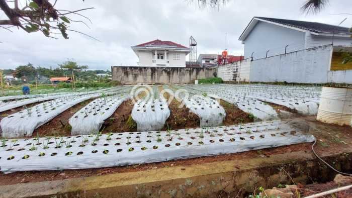 Kavling Tanah untuk Dijual di Lembang, Bandung, Luas 500m2 Kavling Tanah untuk Dijual di Lembang, Bandung, Luas 500m2