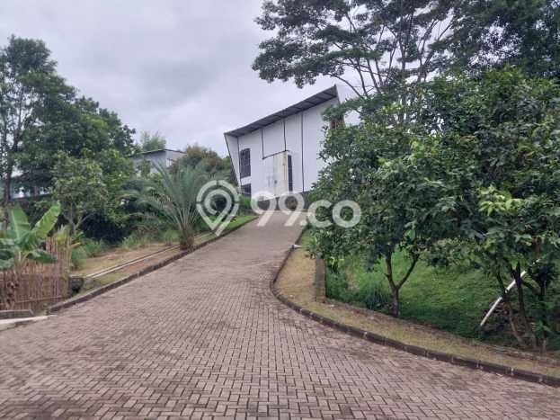 Lahan Strategis di Citeureup Dijual dengan Luas 12562m2 Lahan Strategis di Citeureup Dijual dengan Luas 12562m2