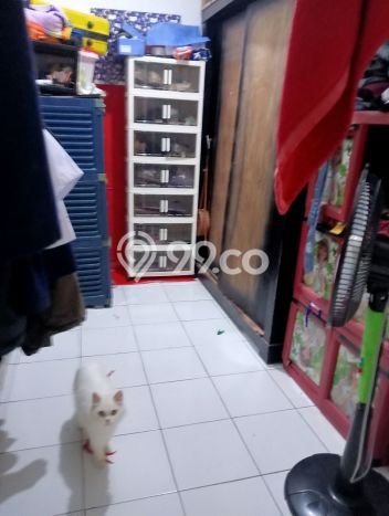 Dijual Rumah Murah di Bojong Gede Bogor Harga Rp 260 Juta LT 57m2 Dijual Rumah Murah di Bojong Gede Bogor Harga Rp 260 Juta LT 57m2