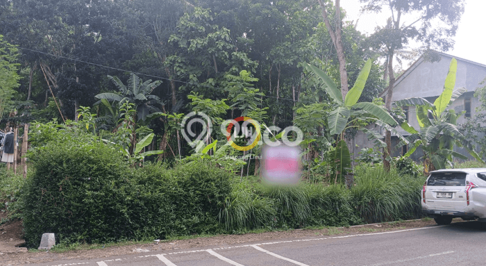 Tanah Kavling di Sidorejo Dijual dengan Luas 805m2 Tanah Kavling di Sidorejo Dijual dengan Luas 805m2
