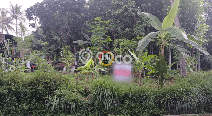 Tanah Kavling di Sidorejo Dijual dengan Luas 805m2 Tanah Kavling di Sidorejo Dijual dengan Luas 805m2