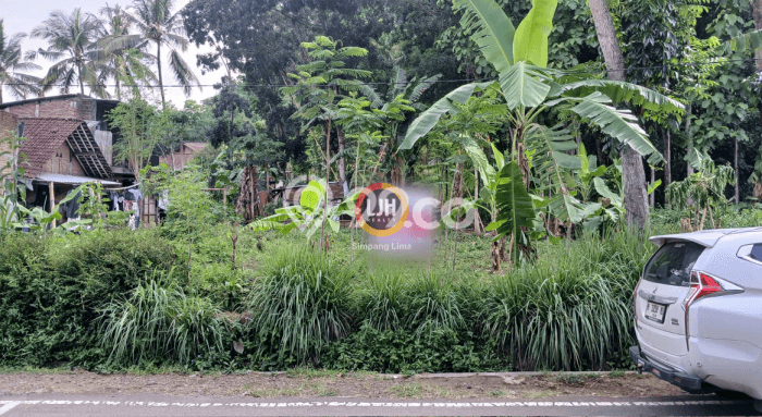 Tanah Kavling di Sidorejo Dijual dengan Luas 805m2 Tanah Kavling di Sidorejo Dijual dengan Luas 805m2