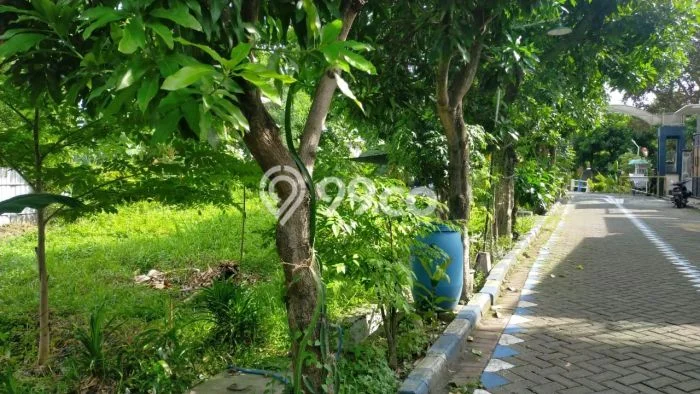 Tanah Kosong Dijual di Surabaya dengan Area 96m2 Tanah Kosong Dijual di Surabaya dengan Area 96m2