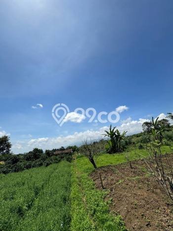 Untuk Dijual Tanah di Bumiaji Batu Luas 1200m2 SHM Untuk Dijual Tanah di Bumiaji Batu Luas 1200m2 SHM