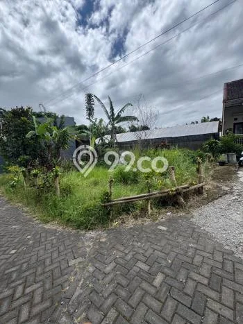 Lahan Investasi Lokasi Batu Batu SHM Lahan Investasi Lokasi Batu Batu SHM