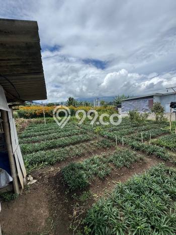 Tanah Komersial Dijual di Batu Batu 425m2 Tanah Komersial Dijual di Batu Batu 425m2