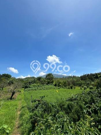 Untuk Dijual Tanah di Bumiaji Batu Luas 1200m2 SHM Untuk Dijual Tanah di Bumiaji Batu Luas 1200m2 SHM