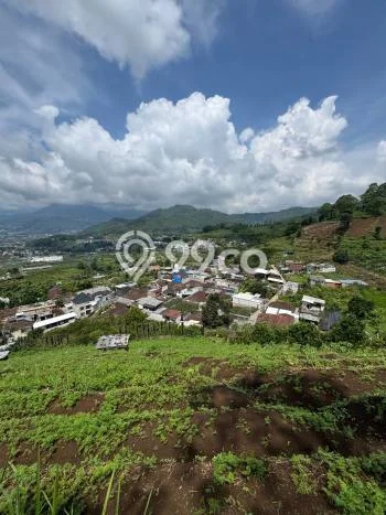 Tanah Strategis Dijual di Batu Batu 1350m2 Tanah Strategis Dijual di Batu Batu 1350m2