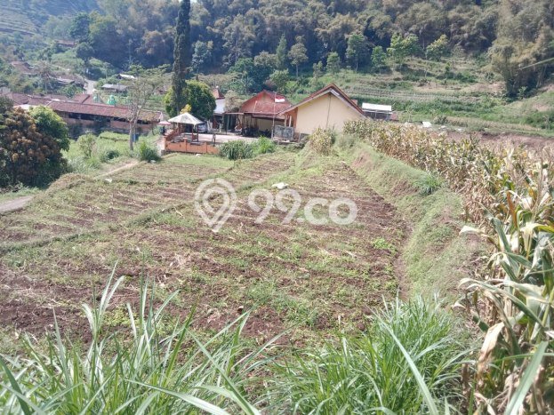 Tanah Kavling di Bumiaji Dijual dengan Luas 1004m2 Tanah Kavling di Bumiaji Dijual dengan Luas 1004m2