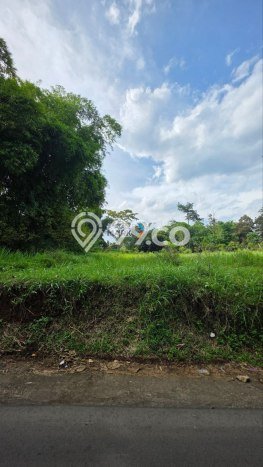 Tanah Kavling di Dau Dijual dengan Luas 1640m2 Tanah Kavling di Dau Dijual dengan Luas 1640m2