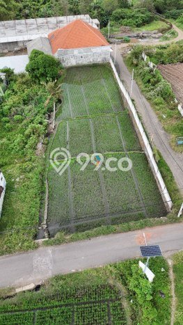 Tanah Dijual Lokasi Lowokwaru Malang SHM Tanah Dijual Lokasi Lowokwaru Malang SHM