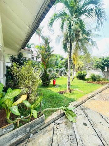 Hunian Elit LB 500m2 Siap Huni Desain Elegan di Pejaten, Jakarta Selatan Hunian Elit LB 500m2 Siap Huni Desain Elegan di Pejaten, Jakarta Selatan
