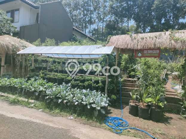 Tanah Investasi Dijual di Bandung Punya Luas 360m2 Tanah Investasi Dijual di Bandung Punya Luas 360m2