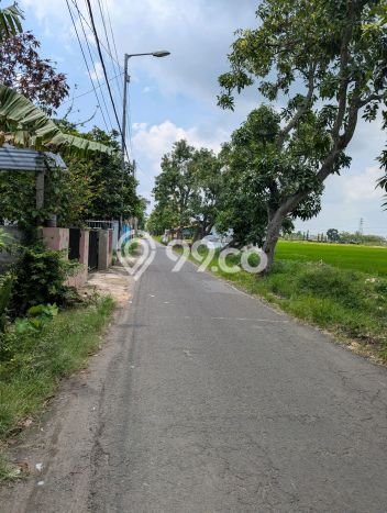 Tanah Dijual Lokasi Tarik, Sidoarjo Luas 2008m2 Legalitas Aman Tanah Dijual Lokasi Tarik, Sidoarjo Luas 2008m2 Legalitas Aman