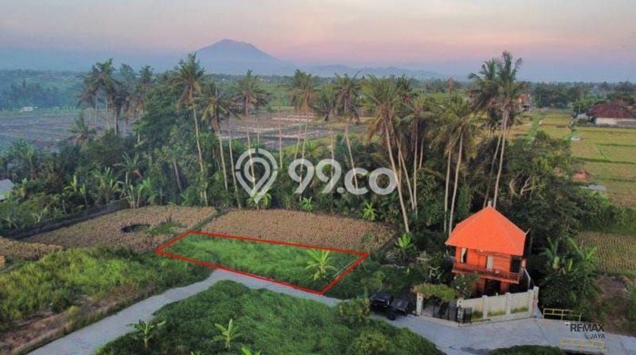 Tanah Dijual Area Strategis di Guwang Gianyar 254m2 Tanah Dijual Area Strategis di Guwang Gianyar 254m2