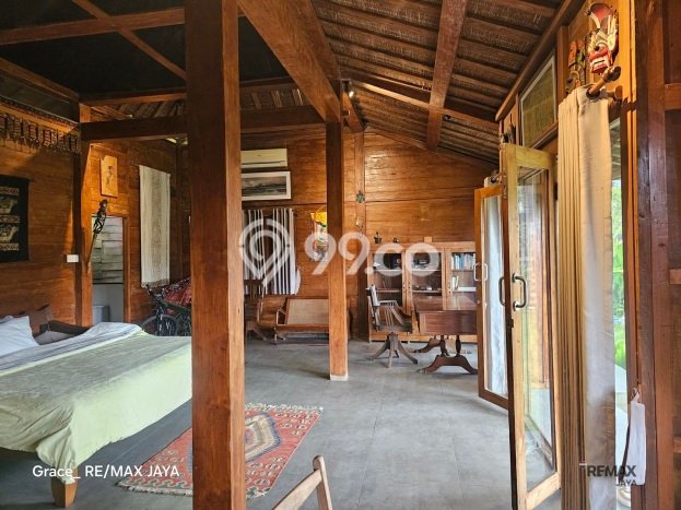 KESEMPATAN EMAS! Vila Kawasan , Luas 700m2m², Kawasan Berkembang dengan nilai naik KESEMPATAN EMAS! Vila Kawasan , Luas 700m2m², Kawasan Berkembang dengan nilai naik