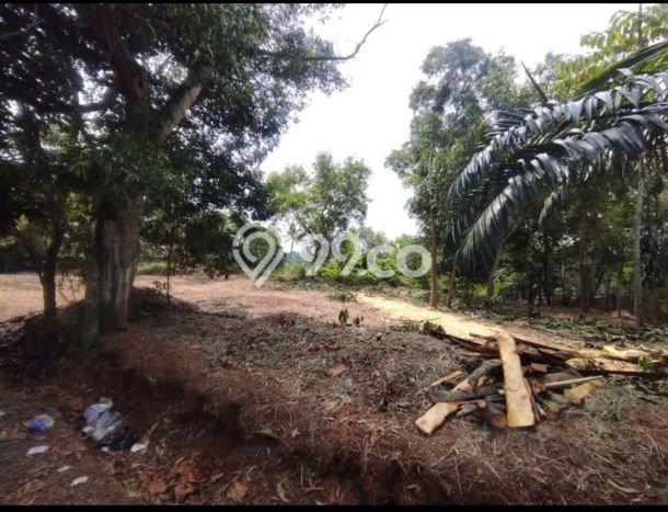 Tanah untuk Dijual Lokasi Sawangan, Depok Luas 3150m2 SHM Tanah untuk Dijual Lokasi Sawangan, Depok Luas 3150m2 SHM