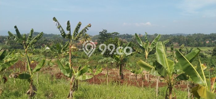 Tanah untuk Dijual di Cianjur Cianjur Luas 68500m2 Tanah untuk Dijual di Cianjur Cianjur Luas 68500m2