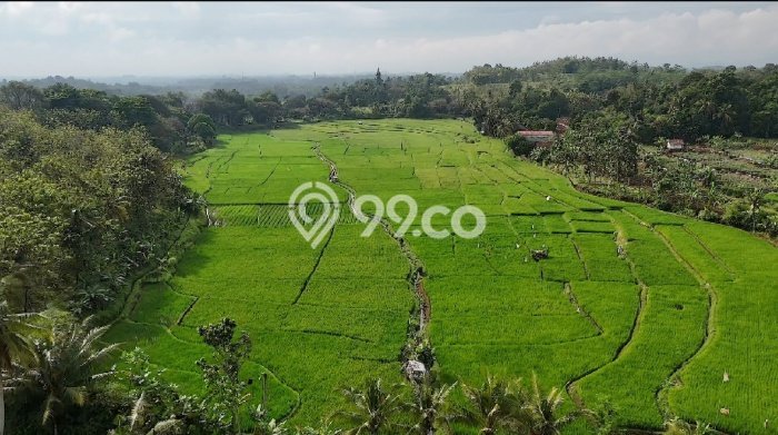 Tanah Strategis Dijual di Cianjur Cianjur 192000m2 Tanah Strategis Dijual di Cianjur Cianjur 192000m2