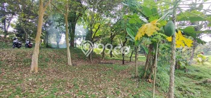 Tanah Strategis Dijual di Cianjur Cianjur 192000m2 Tanah Strategis Dijual di Cianjur Cianjur 192000m2