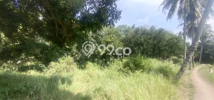 Tanah Strategis Dijual di Cianjur Cianjur 192000m2 Tanah Strategis Dijual di Cianjur Cianjur 192000m2