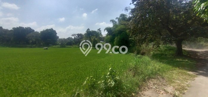 Tanah Strategis Dijual di Cianjur Cianjur 192000m2 Tanah Strategis Dijual di Cianjur Cianjur 192000m2