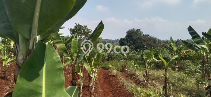 Tanah untuk Dijual di Cianjur Cianjur Luas 68500m2 Tanah untuk Dijual di Cianjur Cianjur Luas 68500m2