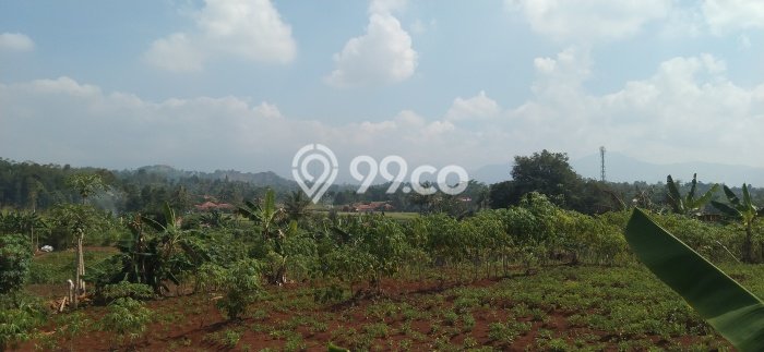 Tanah untuk Dijual di Cianjur Cianjur Luas 68500m2 Tanah untuk Dijual di Cianjur Cianjur Luas 68500m2