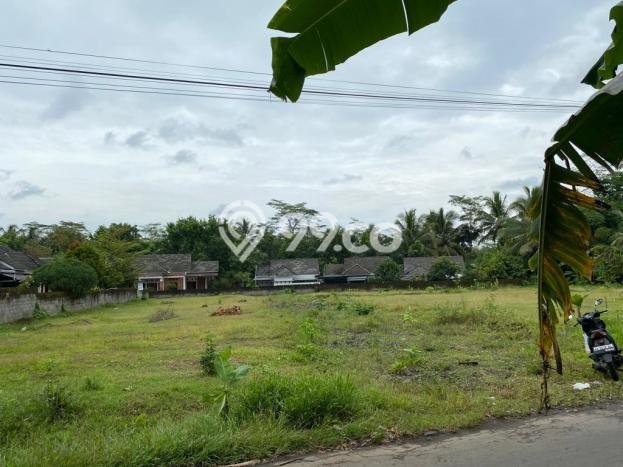 Dijual Tanah Murah Dekat Candi Borobudur, Magelang Dijual Tanah Murah Dekat Candi Borobudur, Magelang