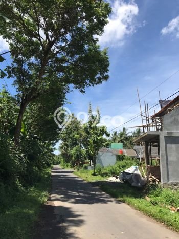 Dijual Tanah Murah Dekat Candi Borobudur, Magelang Dijual Tanah Murah Dekat Candi Borobudur, Magelang