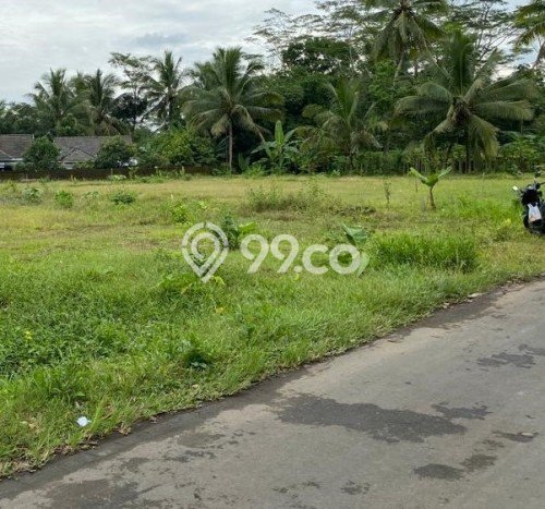 Jual Cepat Kavling Murah Dekat Candi Borobudur Jual Cepat Kavling Murah Dekat Candi Borobudur