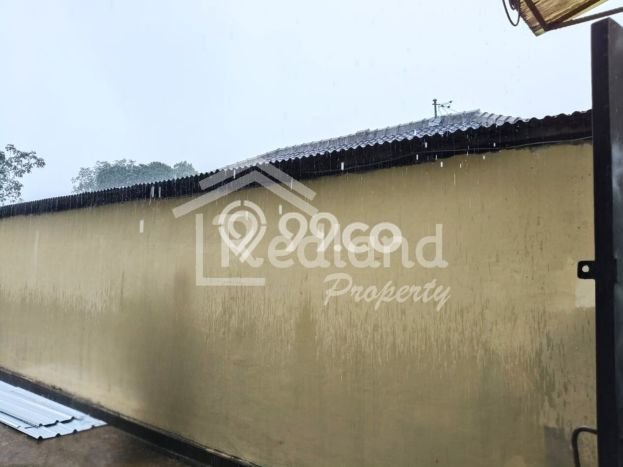 Dijual Cepat Rumah Favorit Siap Huni LB 300m2 di Singorojo, Kendal Dijual Cepat Rumah Favorit Siap Huni LB 300m2 di Singorojo, Kendal