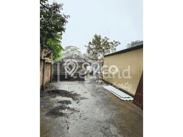Dijual Cepat Rumah Favorit Siap Huni LB 300m2 di Singorojo, Kendal Dijual Cepat Rumah Favorit Siap Huni LB 300m2 di Singorojo, Kendal