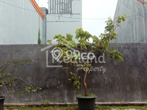 Tanah di Semarang Barat, Semarang Luas 172m2 Dijual Segera Tanah di Semarang Barat, Semarang Luas 172m2 Dijual Segera