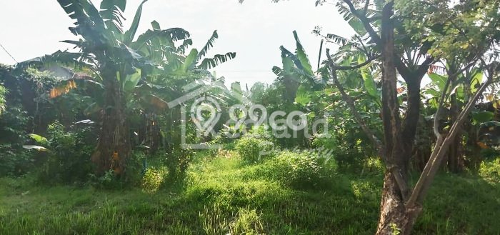 Tanah Komersial Dijual di Semarang Timur Semarang 1051m2 Tanah Komersial Dijual di Semarang Timur Semarang 1051m2