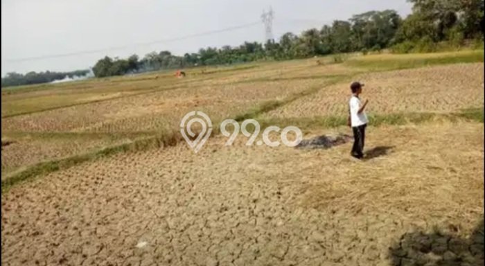 Tanah Komersial Dijual di Pamarayan Serang 100000m2 Tanah Komersial Dijual di Pamarayan Serang 100000m2