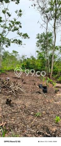 Lahan Dijual Lokasi Balikpapan Selatan, Balikpapan dengan Luas Tanah 193m2 dan Status - Lahan Dijual Lokasi Balikpapan Selatan, Balikpapan dengan Luas Tanah 193m2 dan Status -