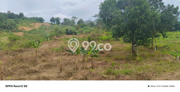Dijual Tanah Lokasi Karang Joang, Balikpapan Seluas 5553m2 Dijual Tanah Lokasi Karang Joang, Balikpapan Seluas 5553m2