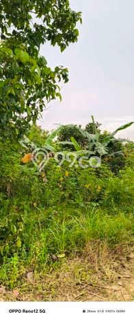 Tanah Kavling Dijual di Sepinggan, Balikpapan dengan Luas Tanah 322m2 Tanah Kavling Dijual di Sepinggan, Balikpapan dengan Luas Tanah 322m2
