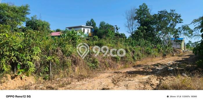 Tanah Investasi Dijual di Balikpapan Punya Luas 1033m2 Tanah Investasi Dijual di Balikpapan Punya Luas 1033m2