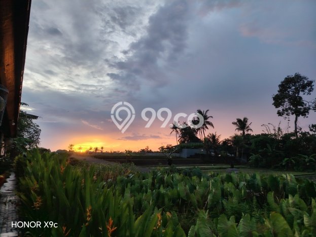 Rumah sewa siap huni 1 Kamar Tidur di Sayan, Gianyar Rumah sewa siap huni 1 Kamar Tidur di Sayan, Gianyar