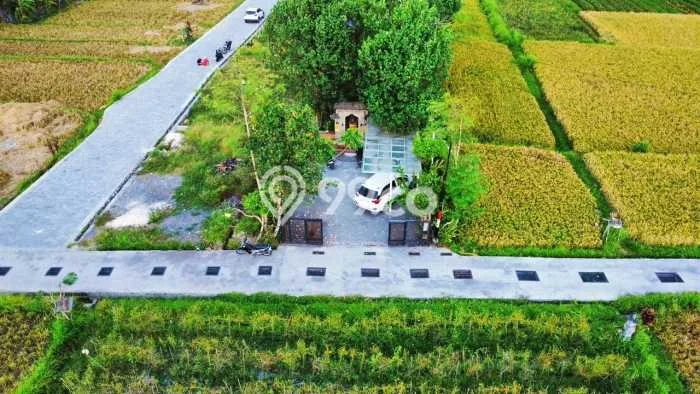 Sewa cepat rumah minimalis strategis 1 Kamar di Ubud, Gianyar Sewa cepat rumah minimalis strategis 1 Kamar di Ubud, Gianyar