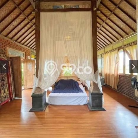 Rumah sewa siap huni 1 Kamar Tidur di Sayan, Gianyar Rumah sewa siap huni 1 Kamar Tidur di Sayan, Gianyar
