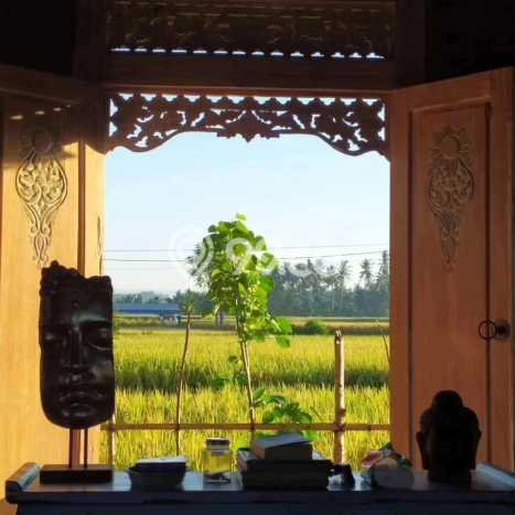 Rumah sewa siap huni 1 Kamar Tidur di Sayan, Gianyar Rumah sewa siap huni 1 Kamar Tidur di Sayan, Gianyar